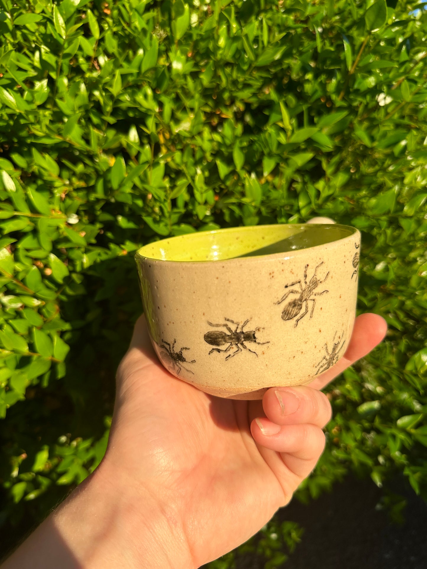 Colony Mug - Chartreuse